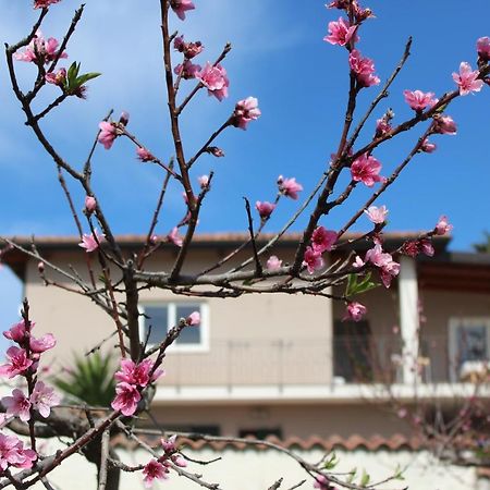 Residenza Anna Calabria Bed & Breakfast Briatico Dış mekan fotoğraf