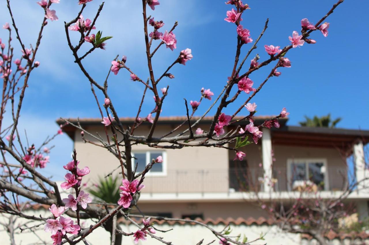 Residenza Anna Calabria Bed & Breakfast Briatico Dış mekan fotoğraf
